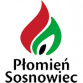 Asotra Płomień Sosnowiec