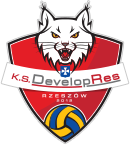 Logo K.S Developres